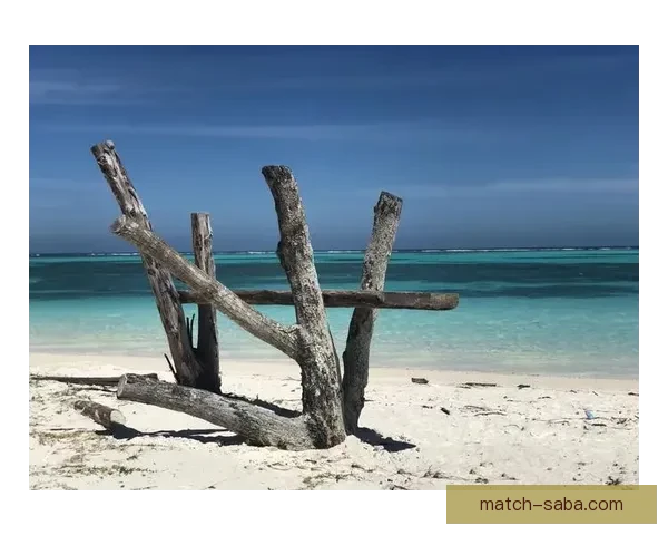 探索沙巴入口周边自然与文化奇观的深度旅行全攻略